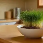 Encimera de madera con gato curioso y verduras